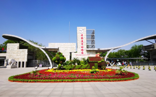 石家庄市第十六届月季展盛大开幕!18座花坛妆点假日生活