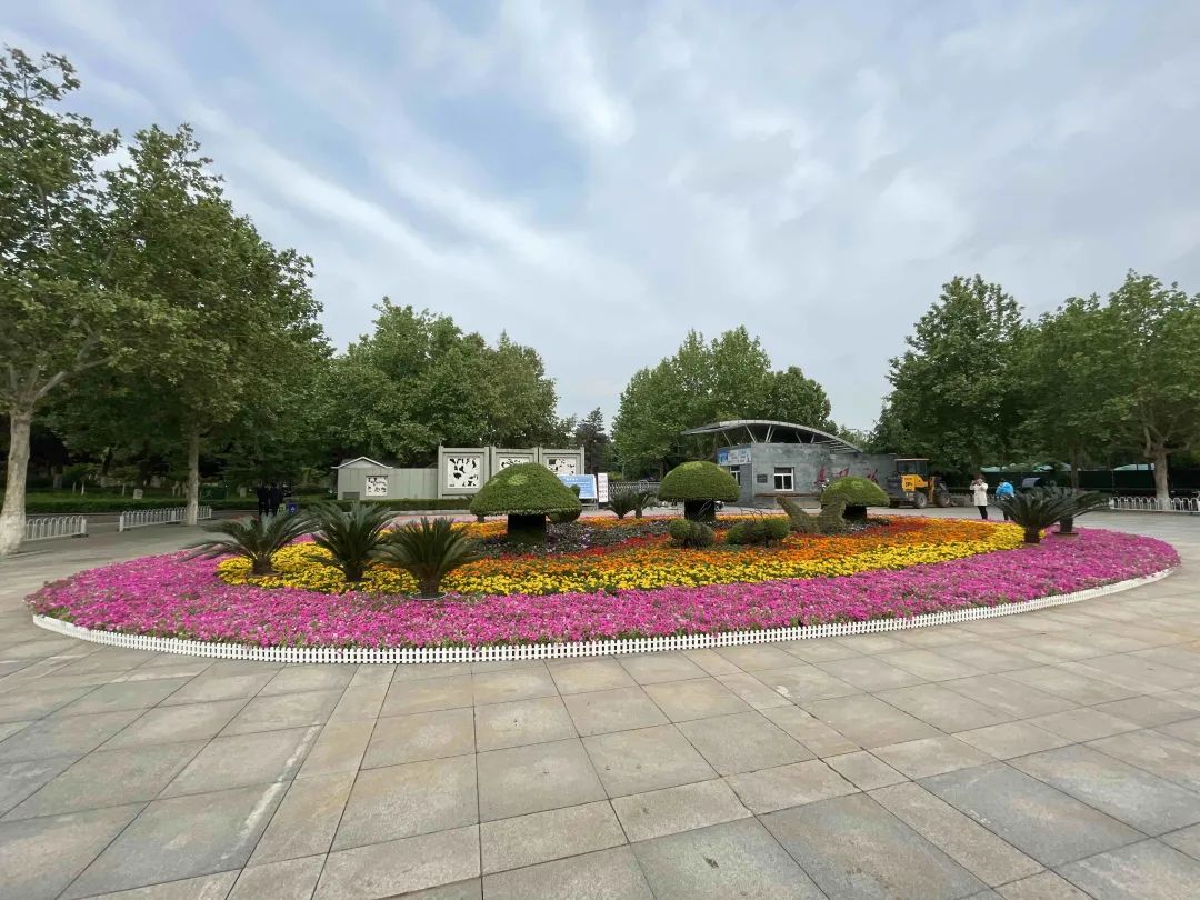 庆五一28座主题花坛扮靓省会